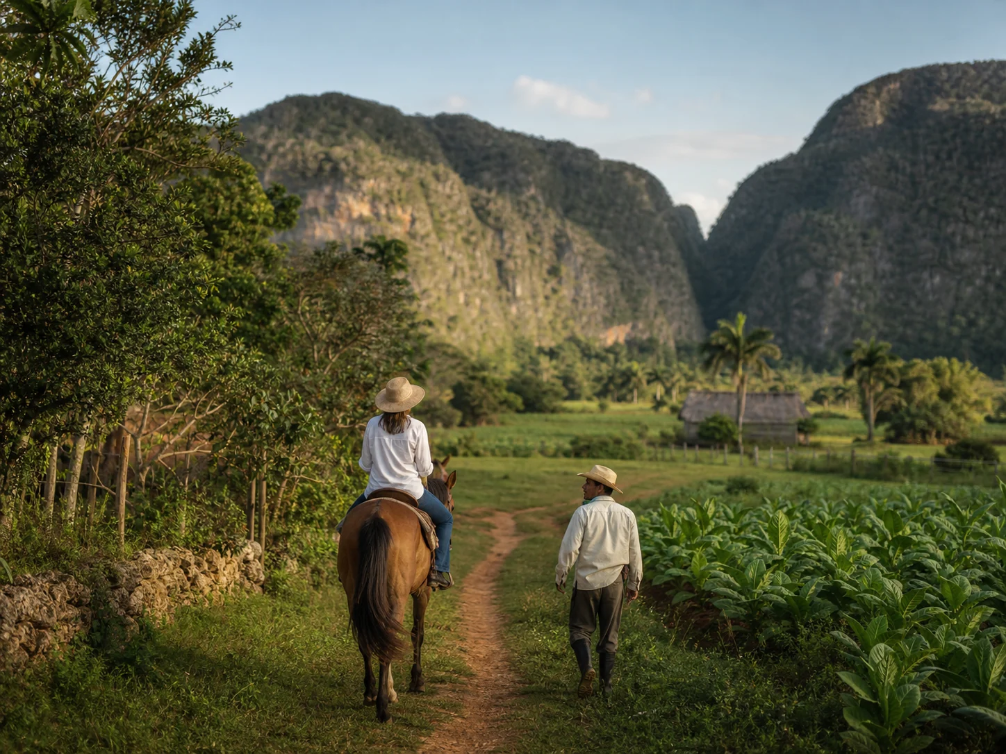 Paseo a caballo por El Valle